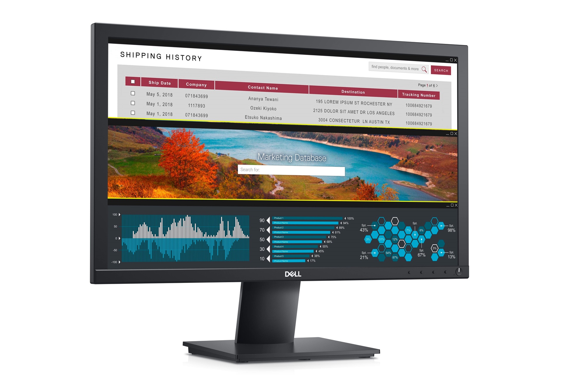 DELL 19.5 inch Monitor D2020H G.A Computers